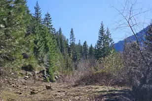 12 Anna Bell Dr, Ronald, WA 98940 - Photo 8