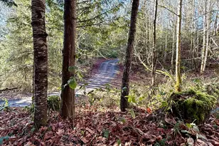 12280 Center Rd, Quilcene, WA 98376 - Photo 28