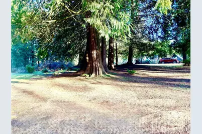 41671 Mountain View Lane, Concrete, WA 98237 - Photo 30