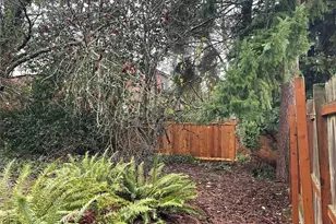 7332 9th Ave NW, Seattle, WA 98117 - Photo 8