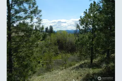 0 Tbd High Country Drive W, Tonasket, WA 98855 - Photo 30
