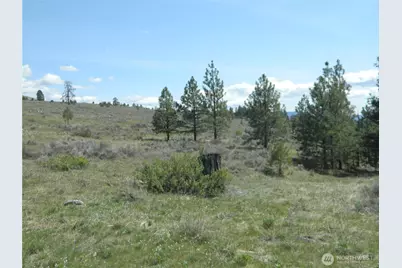 0 Tbd High Country Drive W, Tonasket, WA 98855 - Photo 36