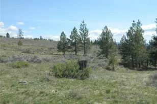 0 Tbd High Country Dr W, Tonasket, WA 98855 - Photo 36