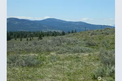 0 Tbd High Country Drive W, Tonasket, WA 98855 - Photo 30