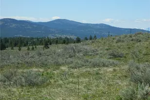 0 Tbd High Country Dr W, Tonasket, WA 98855 - Photo 30