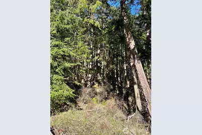 55 Vancouver Place, Port Townsend, WA 98368 - Photo 6