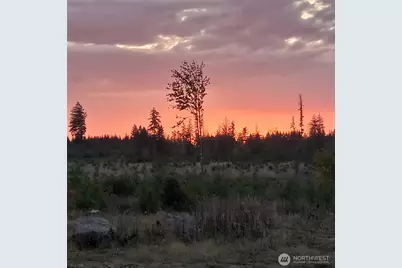 0 Lot 4 Macomber Street W, Chehalis, WA 98532 - Photo 10