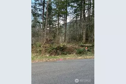 0 SE 166th Street, North Bend, WA 98045 - Photo 4