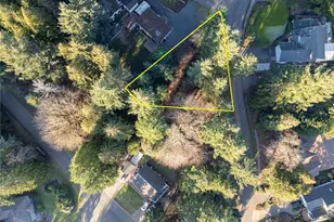 10916 Seaview Dr, Anderson Island, WA 98303 - Photo 1