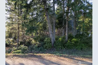 10916 Seaview Drive, Anderson Island, WA 98303 - Photo 2