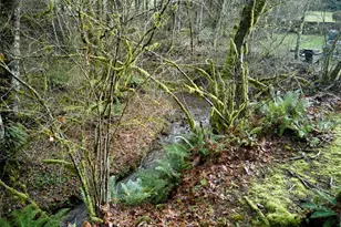 23708 NE Canyon Loop Rd, Battle Ground, WA 98604 - Photo 28