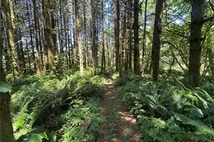 1895 N Fork Rd, Chehalis, WA 98532 - Photo 36