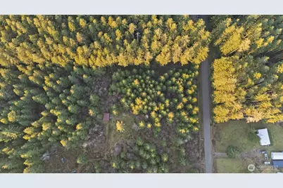 0 W Lost Lake Road, Shelton, WA 98584 - Photo 2