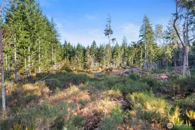 0 E Harstine Island Road S, Shelton, WA 98584 - Photo 6