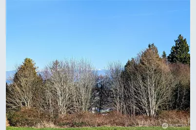 19 Whalen Drive, Point Roberts, WA 98281 - Photo 6