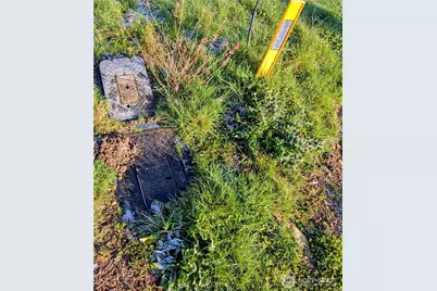 19 Whalen Drive, Point Roberts, WA 98281 - Photo 8