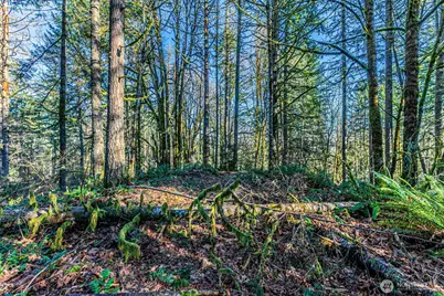 0 Dempsey Lane SW, Olympia, WA 98512 - Photo 10