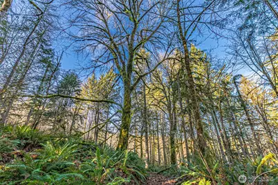0 Dempsey Lane SW, Olympia, WA 98512 - Photo 8