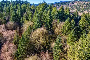 0 Dempsey Ln SW, Olympia, WA 98512 - Photo 1