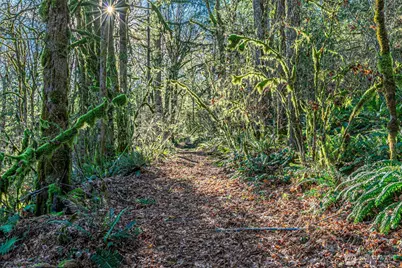 0 Dempsey Lane SW, Olympia, WA 98512 - Photo 14