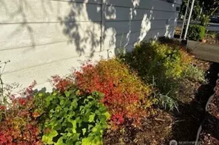 3611 I St NE, Auburn, WA 98002 - Photo 38