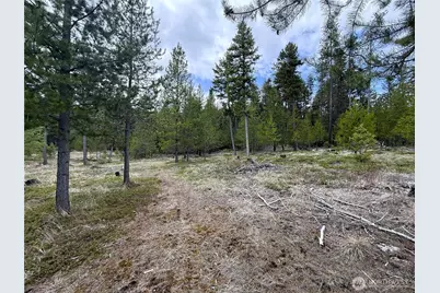 7 Hazel Lane, Republic, WA 99166 - Photo 22