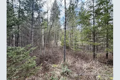 7 Hazel Lane, Republic, WA 99166 - Photo 28