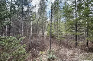 7 Hazel Ln, Republic, WA 99166 - Photo 28