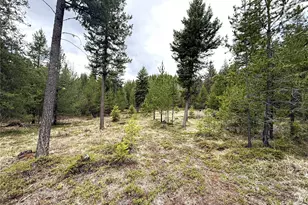 7 Hazel Ln, Republic, WA 99166 - Photo 2