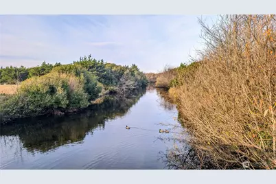 30904 M Place, Ocean Park, WA 98640 - Photo 6