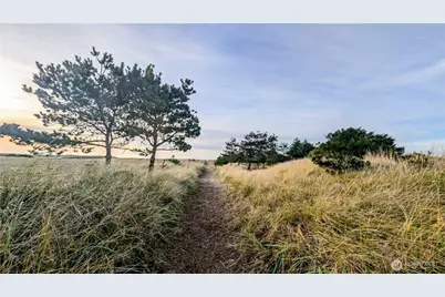 30904 M Place, Ocean Park, WA 98640 - Photo 10