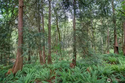 107 Pueblo Heights, Mount Vernon, WA 98273 - Photo 14