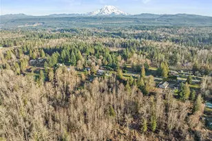 12811 Kapowsin Highlands Dr E, Graham, WA 98338 - Photo 40