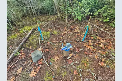 680 E State Route 302, Belfair, WA 98528 - Photo 8