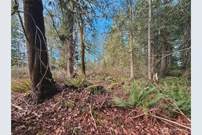 680 E State Route 302, Belfair, WA 98528 - Photo 26