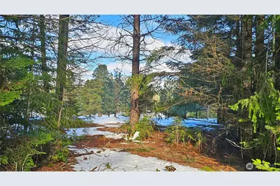 0 Nka Hermitage Drive, Cle Elum, WA 98922 - Photo 16