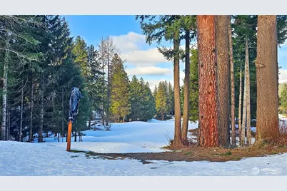 0 Nka Hermitage Drive, Cle Elum, WA 98922 - Photo 30