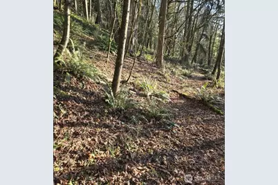 1217 218th Avenue NE, Sammamish, WA 98074 - Photo 6