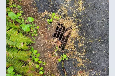 1217 218th Avenue NE, Sammamish, WA 98074 - Photo 10