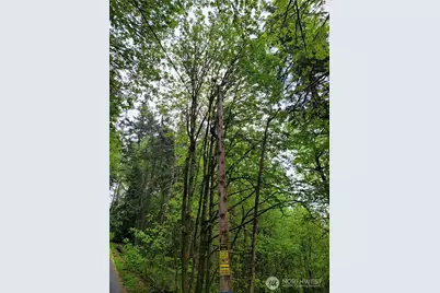 1217 218th Avenue NE, Sammamish, WA 98074 - Photo 8