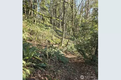 1217 218th Avenue NE, Sammamish, WA 98074 - Photo 4