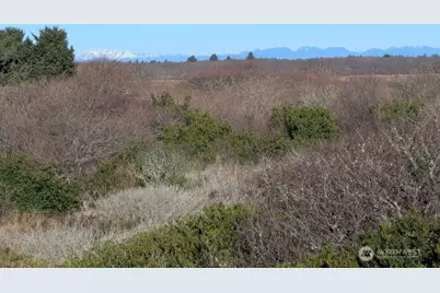 1264 E Ocean Shores Boulevard SW, Ocean Shores, WA 98569 - Photo 10