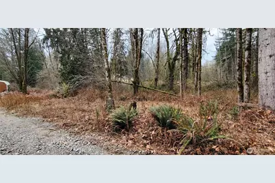 7836 Delphi Road SW, Olympia, WA 98512 - Photo 14