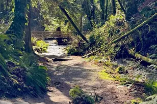 7629 NE 122nd Ct, Kirkland, WA 98034 - Photo 26