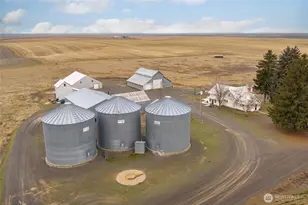 33540 Manke Road E, Harrington, WA 99134 - Photo 30