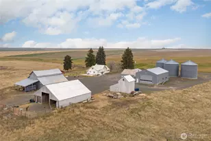 33540 Manke Road E, Harrington, WA 99134 - Photo 40