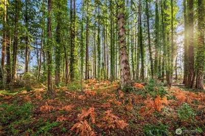 8617 86th Avenue NW, Gig Harbor, WA 98332 - Photo 10