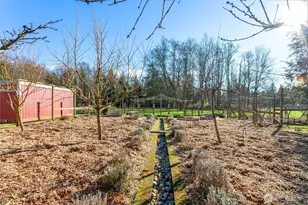 3269 Haynie Rd, Custer, WA 98240 - Photo 38