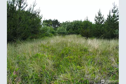 32307 H Place, Ocean Park, WA 98640 - Photo 6