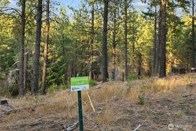 131 Gold Leaf Lane, Cle Elum, WA 98922 - Photo 6